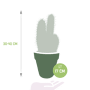 Pilosocereus azureus afmetingen
